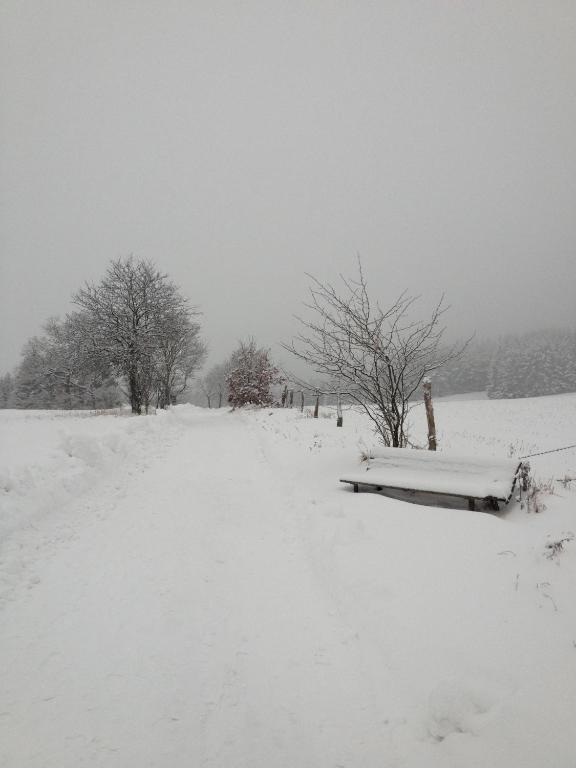 Anke * Braunlage